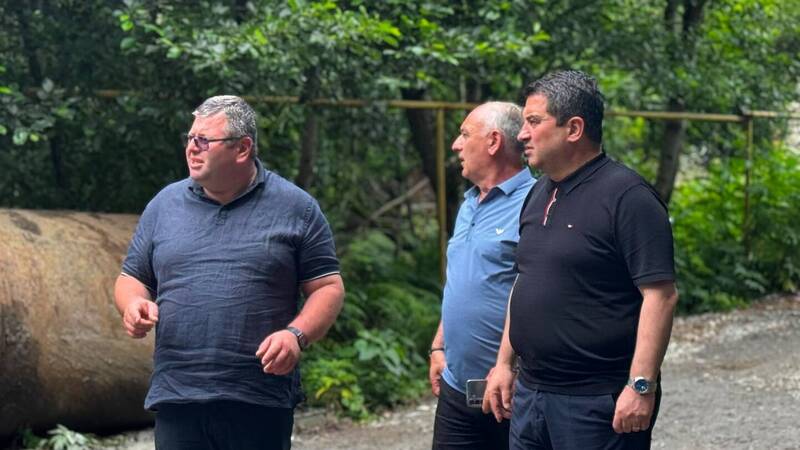 დავით ბახტაძემ ტოლებსა და ოფეთში მიმდინარე ინფრასტრუქტურული სამუშაოები დაათვალიერა