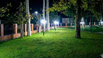 სამტრედიაში სასკოლო ოლიმპიადა მიმდინარეობს