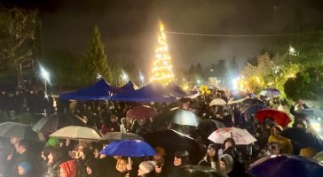 სამტრედიის   მთავარი ნაძვის ხე  საზეიმოდ აინთო