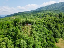 #ტოლები #ტელეფისის  ციხე