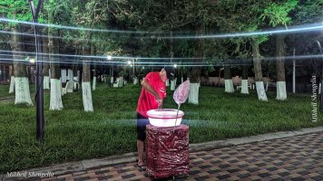 სრულად რეაბილიტირებული ,,მომავლის პარკი''