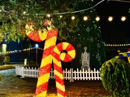 სამტრედიაში  წინა საახალწლო სამზადისი აქტიურად მიმდინარეობს