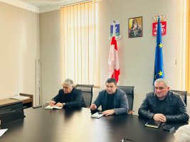 მერის სამუშაო თათბირი