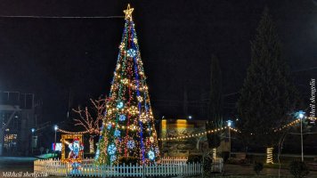 სამტრედიის  მთავარი ნაძვის ხე  საზეიმოდ აინთო