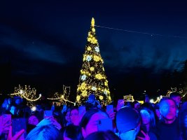 სამტრედიის  მთავარი ნაძვის ხე  საზეიმოდ აინთო